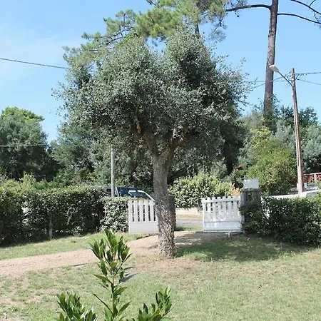 Villa Ongui Ethorri Pour 6 Ou 8 Personnes Wifi Gratuit Soorts-Hossegor